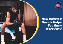 How Building Muscle Helps You Burn More Fat?